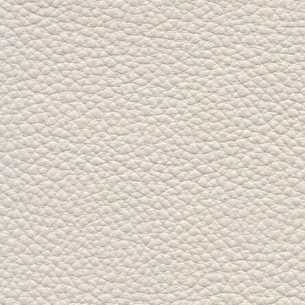 Leather - Image 16