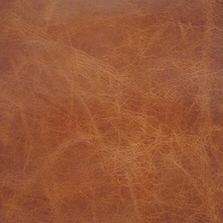 Leather - Image 23