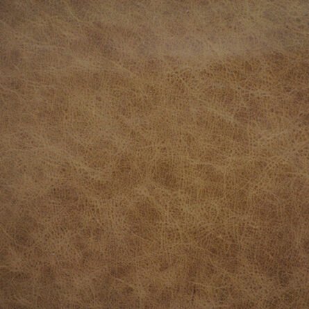 Leather - Image 18