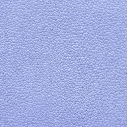 Leather - Image 15